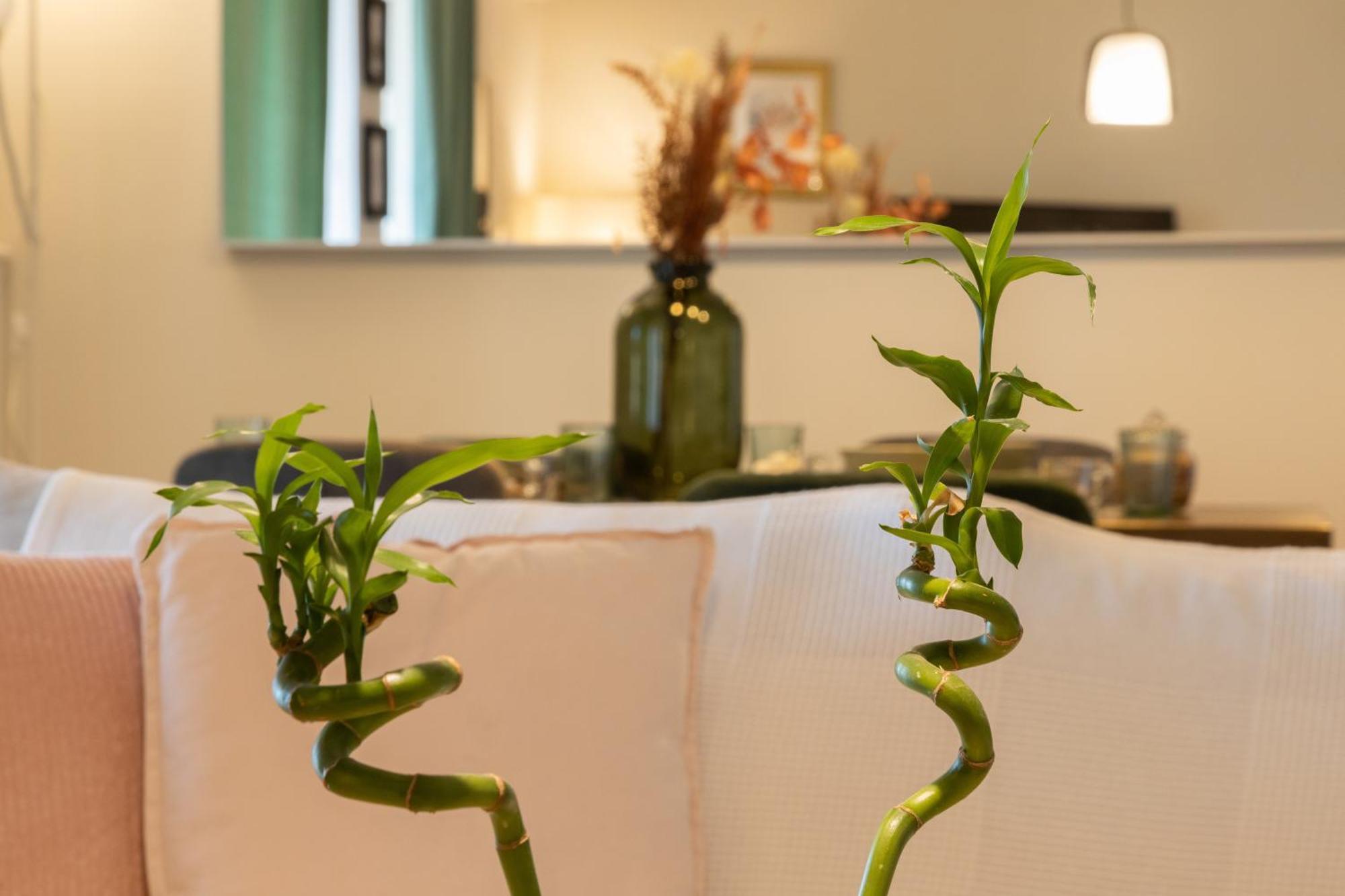 Glyfada Golf Fourth Floor Apartment Athén Kültér fotó